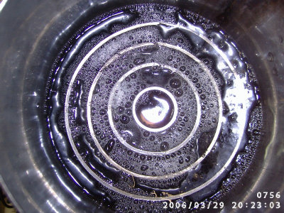Image:Bill Williams cell bubbling.jpg