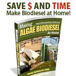 Making Algae Biodiesel