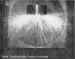 An early example of the magnifier configuration, ca. 1898. -- # 05